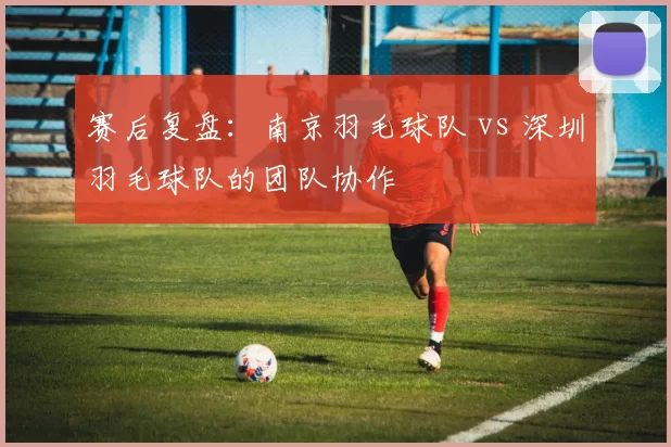 赛后复盘：南京羽毛球队 vs 深圳羽毛球队的团队协作