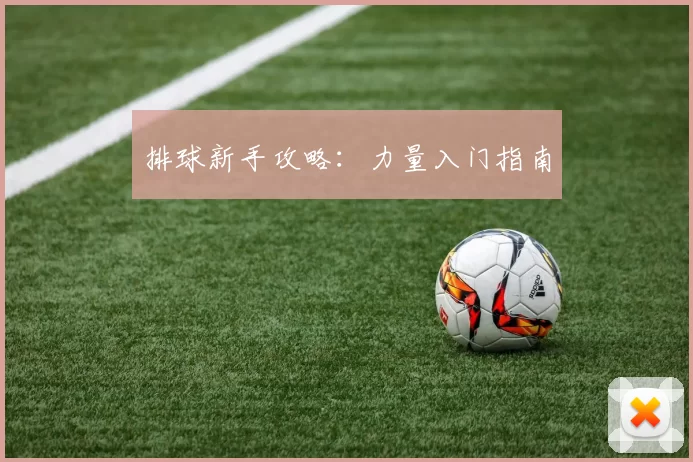 排球新手攻略：力量入门指南